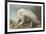 White Heron-James Audubon-Framed Giclee Print