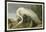 White Heron-John James Audubon-Framed Giclee Print