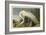 White Heron-John James Audubon-Framed Giclee Print