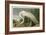 White Heron-John James Audubon-Framed Giclee Print