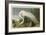 White Heron-John James Audubon-Framed Giclee Print