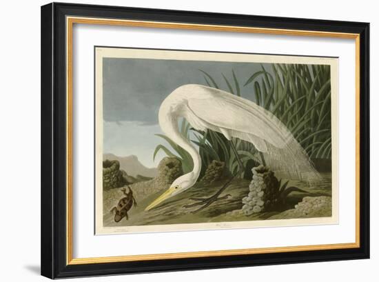 White Heron-John James Audubon-Framed Giclee Print