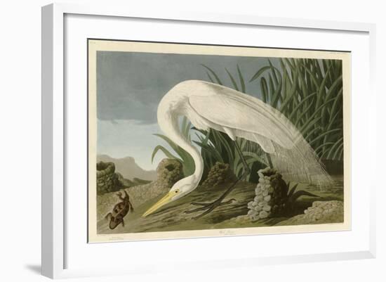 White Heron-John James Audubon-Framed Giclee Print