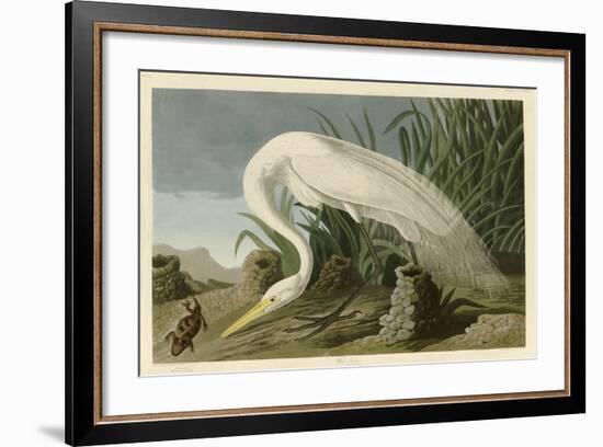 White Heron-John James Audubon-Framed Giclee Print