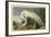White Heron-John James Audubon-Framed Giclee Print