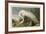 White Heron-John James Audubon-Framed Giclee Print