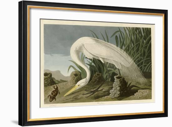 White Heron-John James Audubon-Framed Giclee Print