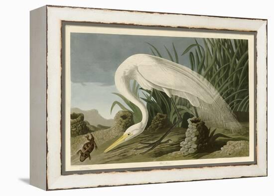 White Heron-John James Audubon-Framed Premier Image Canvas