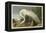 White Heron-John James Audubon-Framed Premier Image Canvas