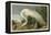 White Heron-John James Audubon-Framed Premier Image Canvas