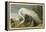 White Heron-John James Audubon-Framed Premier Image Canvas