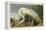 White Heron-John James Audubon-Framed Premier Image Canvas