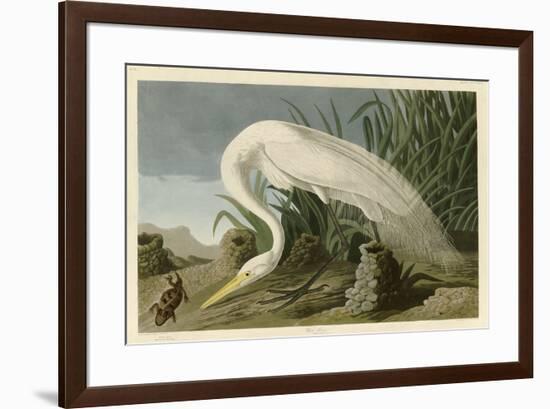 White Heron-John James Audubon-Framed Giclee Print