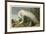 White Heron-John James Audubon-Framed Giclee Print