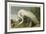 White Heron-John James Audubon-Framed Giclee Print