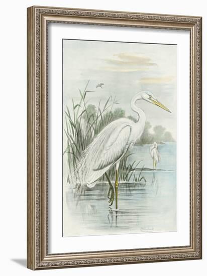 White Heron-null-Framed Art Print