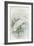 White Heron-null-Framed Art Print