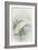 White Heron-null-Framed Art Print