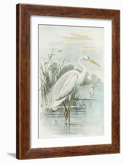 White Heron-null-Framed Art Print