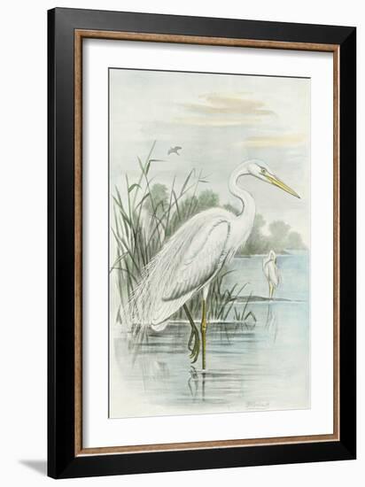 White Heron-null-Framed Art Print