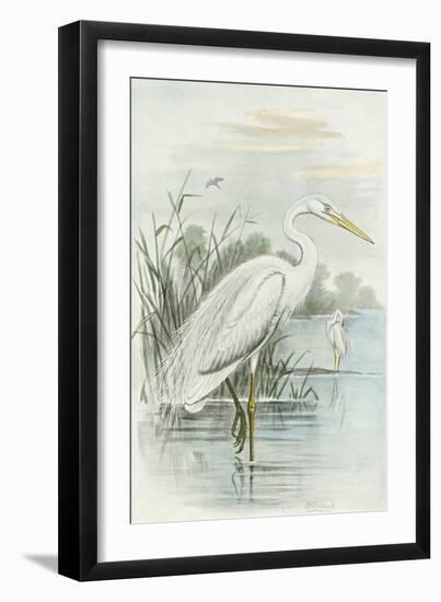 White Heron-null-Framed Art Print