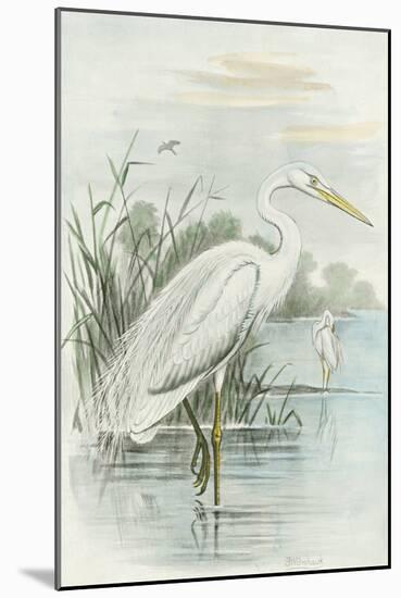 White Heron-null-Mounted Art Print