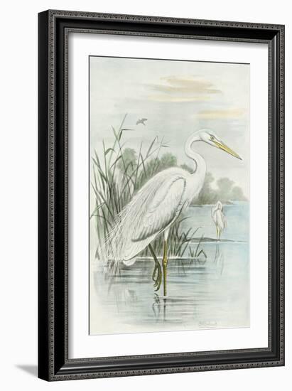 White Heron-null-Framed Art Print