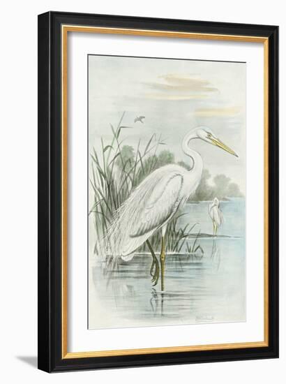 White Heron-null-Framed Art Print