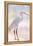 White Heron-Kimberly Allen-Framed Stretched Canvas