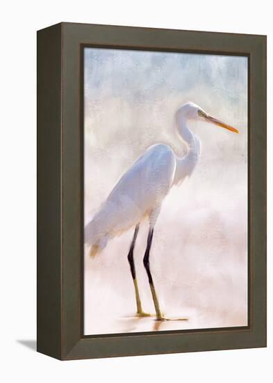 White Heron-Kimberly Allen-Framed Stretched Canvas