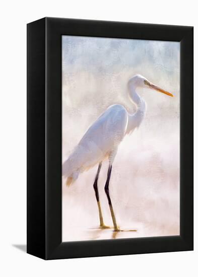 White Heron-Kimberly Allen-Framed Stretched Canvas