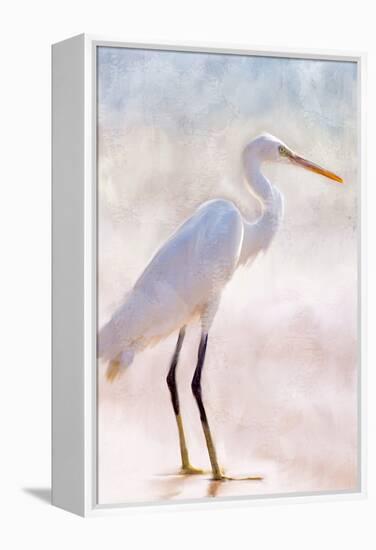 White Heron-Kimberly Allen-Framed Stretched Canvas