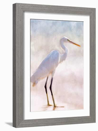 White Heron-Kimberly Allen-Framed Art Print