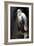 White Heron-Vivienne Dupont-Framed Art Print