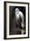 White Heron-Vivienne Dupont-Framed Art Print