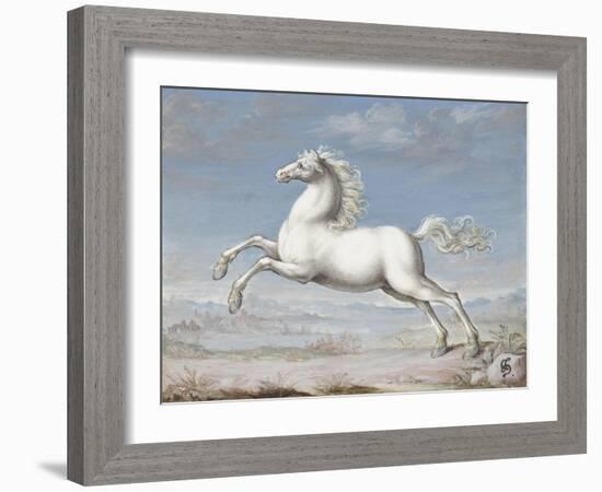 White Horse, 1560-99-Joris Hoefnagel-Framed Art Print