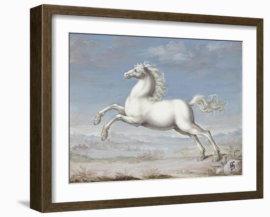 White Horse, 1560-99-Joris Hoefnagel-Framed Art Print