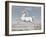 White Horse, 1560-99-Joris Hoefnagel-Framed Art Print