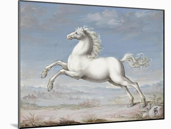 White Horse, 1560-99-Joris Hoefnagel-Mounted Art Print