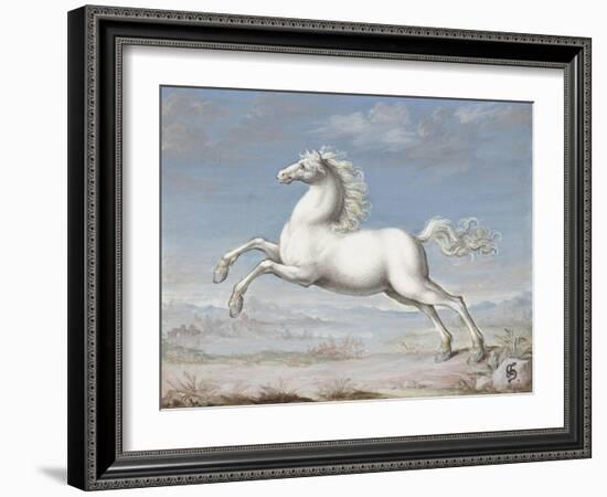 White Horse, 1560-99-Joris Hoefnagel-Framed Art Print