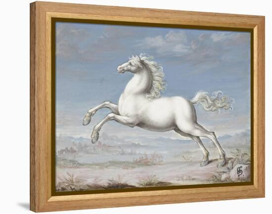 White Horse, 1560-99-Joris Hoefnagel-Framed Stretched Canvas