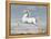 White Horse, 1560-99-Joris Hoefnagel-Framed Stretched Canvas