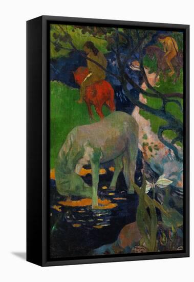 White Horse, 1898-Paul Gauguin-Framed Premier Image Canvas