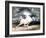 White Horse, 19th Century-Eugene Delacroix-Framed Giclee Print