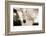 White Horse Black Nose-Theo Westenberger-Framed Photographic Print