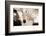 White Horse Black Nose-Theo Westenberger-Framed Photographic Print