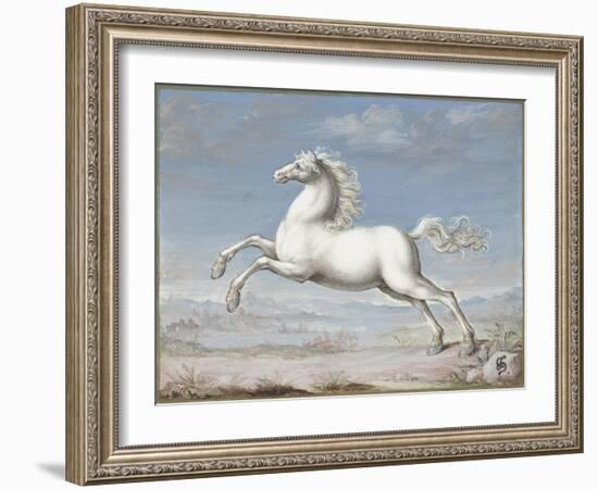 White Horse, by Joris Hoefnagel, 1560-99, Flemish painting,-Joris Hoefnagel-Framed Art Print