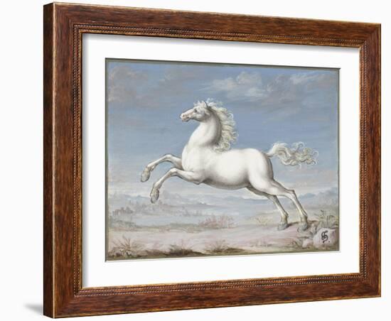 White Horse, by Joris Hoefnagel, 1560-99, Flemish painting,-Joris Hoefnagel-Framed Art Print