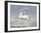 White Horse, by Joris Hoefnagel, 1560-99, Flemish painting,-Joris Hoefnagel-Framed Art Print