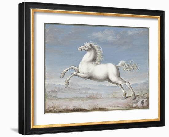 White Horse, by Joris Hoefnagel, 1560-99, Flemish painting,-Joris Hoefnagel-Framed Art Print